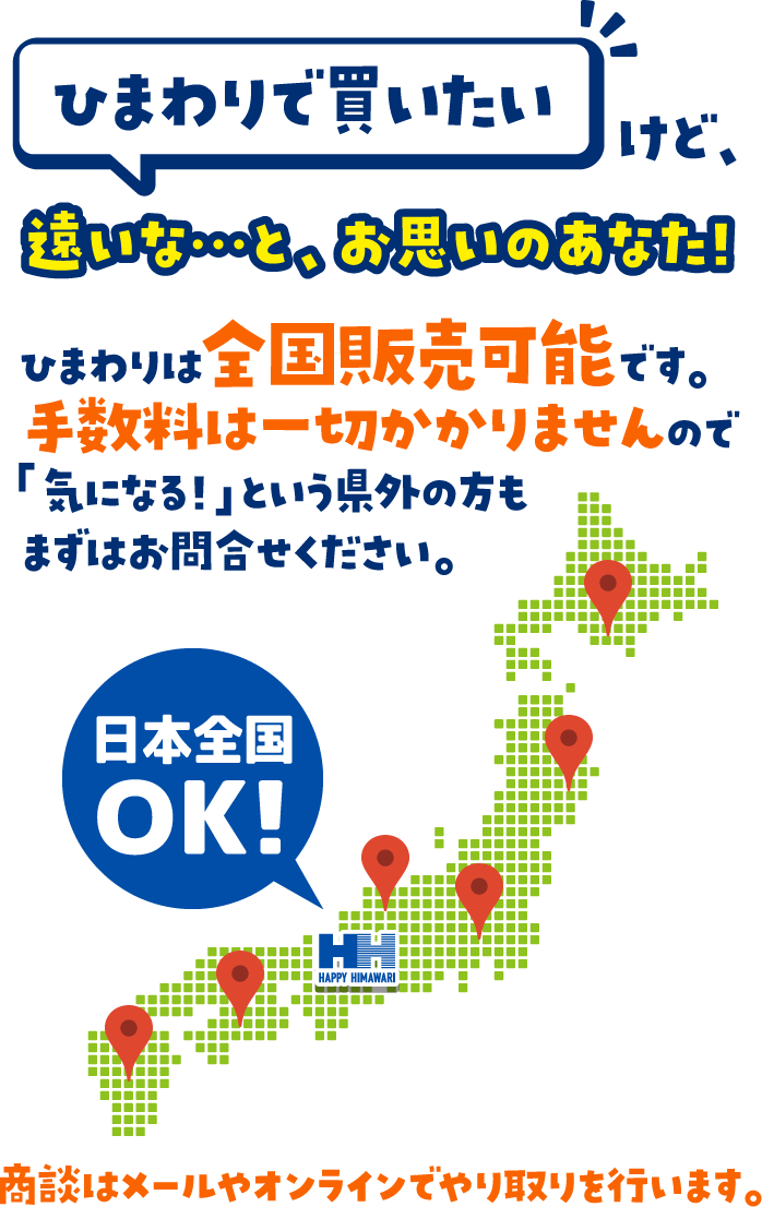 ひまわりは全国販売可能です。